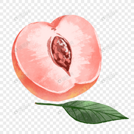 WWW,698av·COM网站APPAPP应用