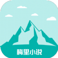 Tv影院完美版下载APP应用